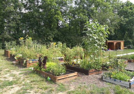 Výroční zpráva 2006