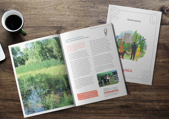 Výroční zpráva 2020