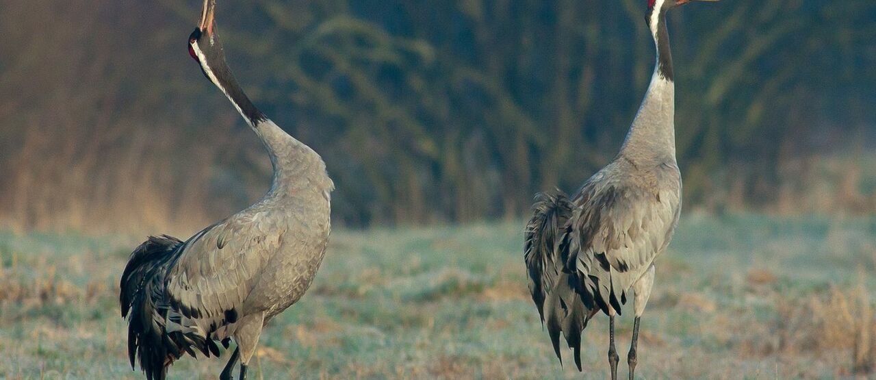 Vracíme vodu přírodě