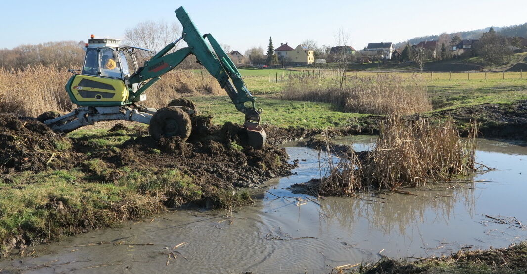Obnova mokřadu u Valašského Meziříčí: žáby děkují!