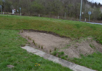 V Praze na Beránku vznikla dešťová zahrádka