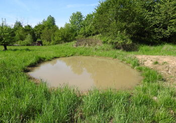 Nové tůně v bývalém areálu letiště Mošnov