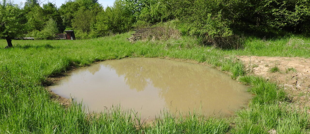 Nové tůně v bývalém areálu letiště Mošnov