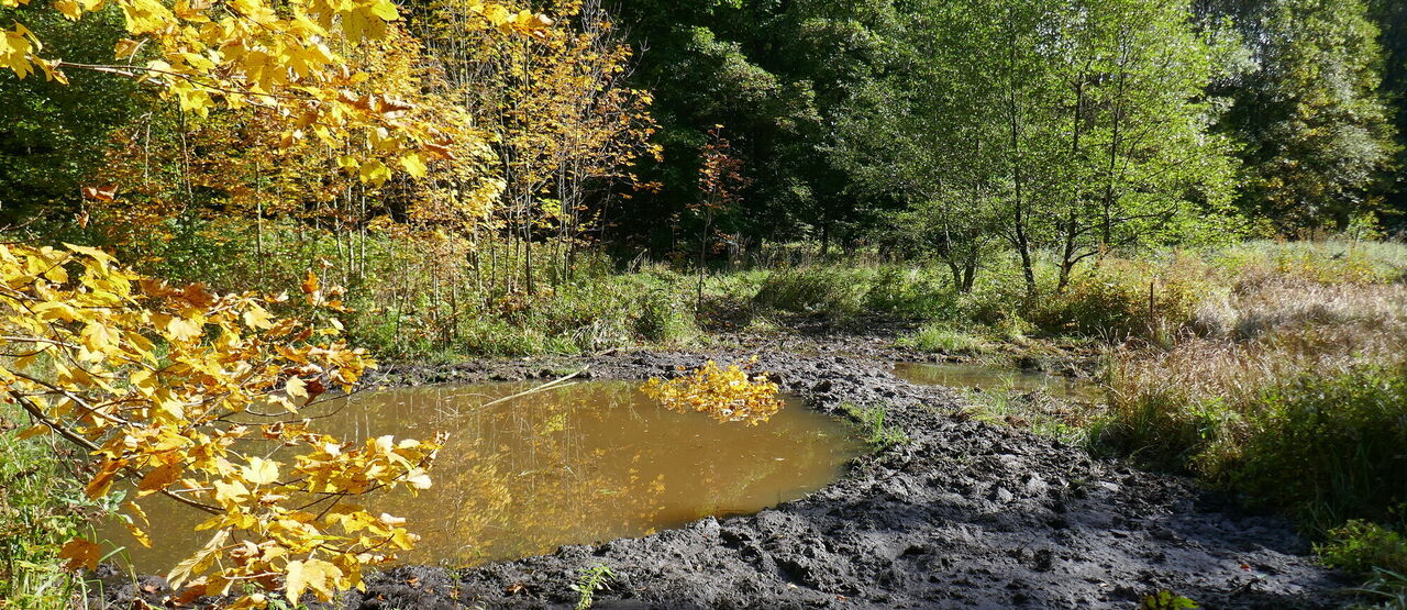 Tůní není nikdy dost, nové vznikly v údolí Hloučely