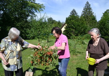 Stáří se nevysmívej – vždyť k němu směřuješ