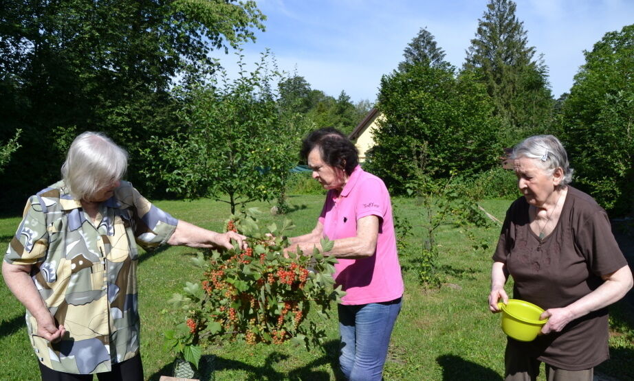 Stáří se nevysmívej – vždyť k němu směřuješ