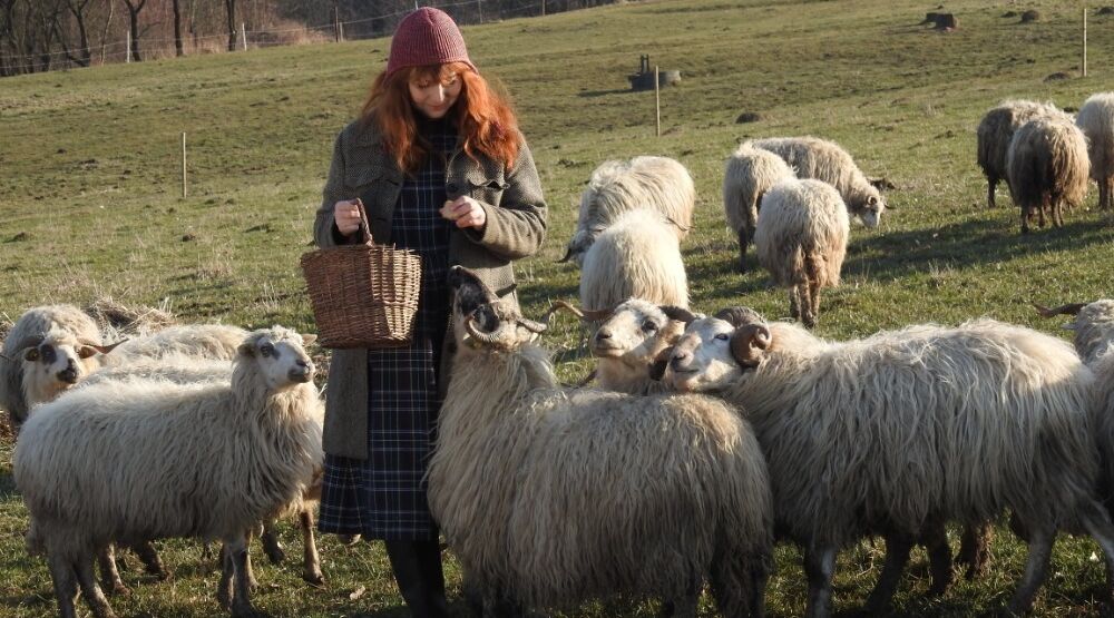 Pozdrav z Dílny U beránka