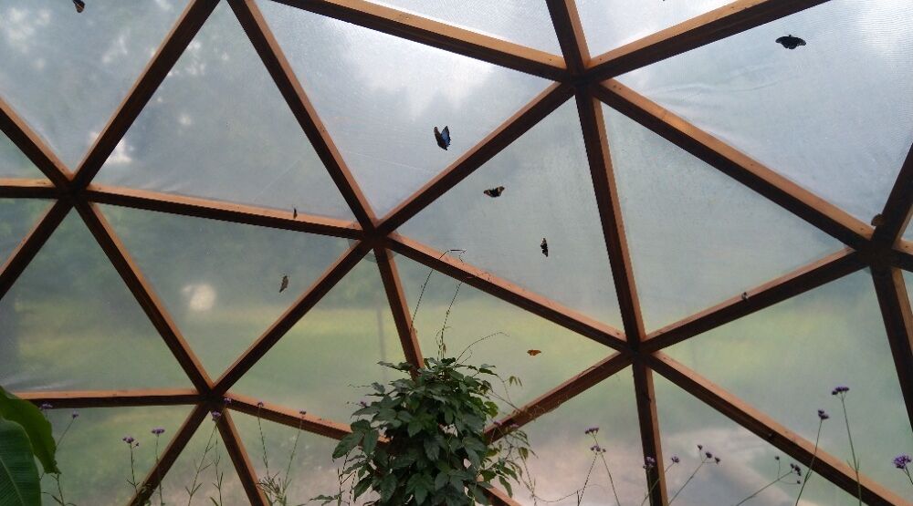 Motýlí zahradnictví_Lenka Látalová