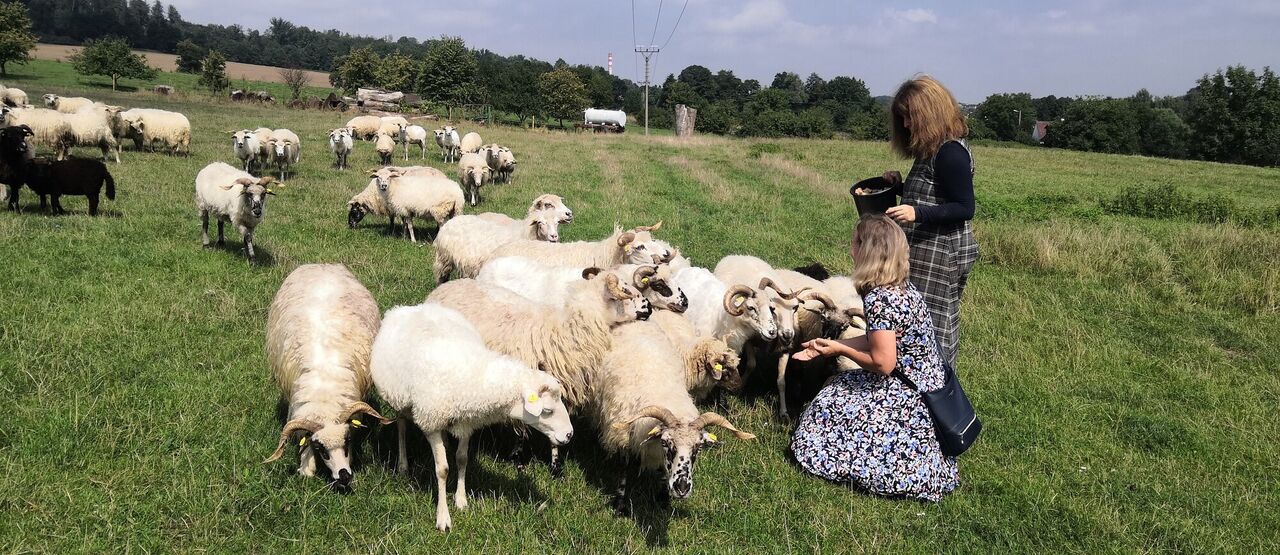 STARTér po letní pauze znovu pomohl začínajícím podnikatelům