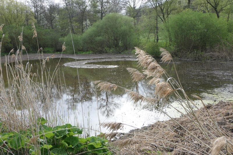Nad Hájkovským rybníkem