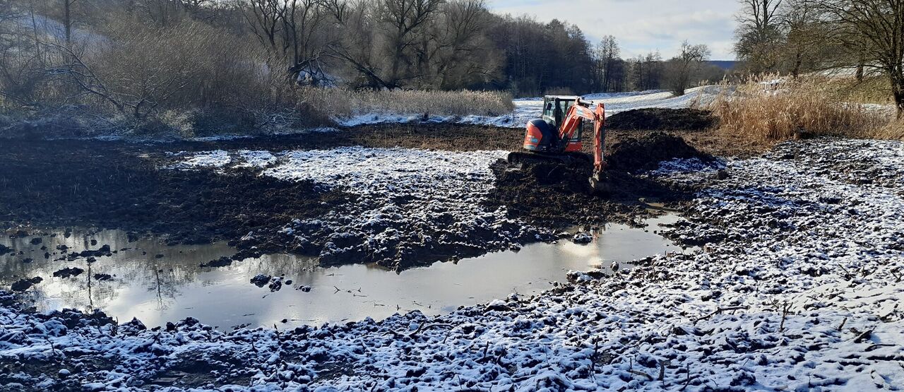 Nové tůně nejen pro obojživelníky aneb ochrana přírody bagrem