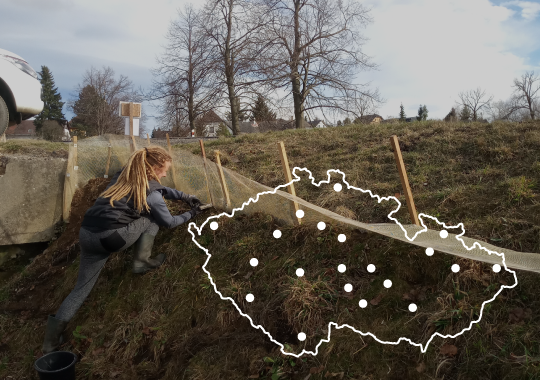 Transfery obojživelníků