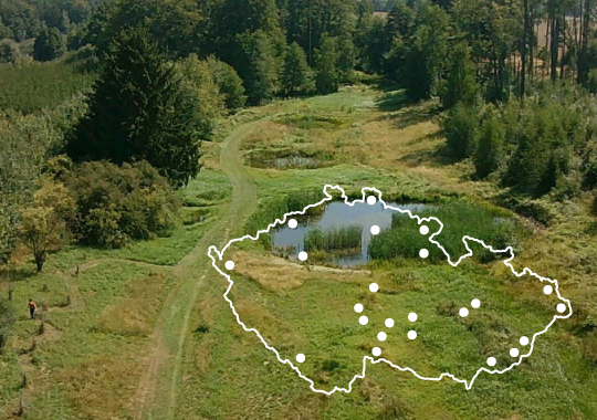 Údržba mokřadních biotopů