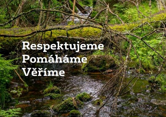 Nadační fond Veolia