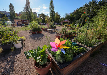 Z pustého koutu sídliště vznikl zelený ráj