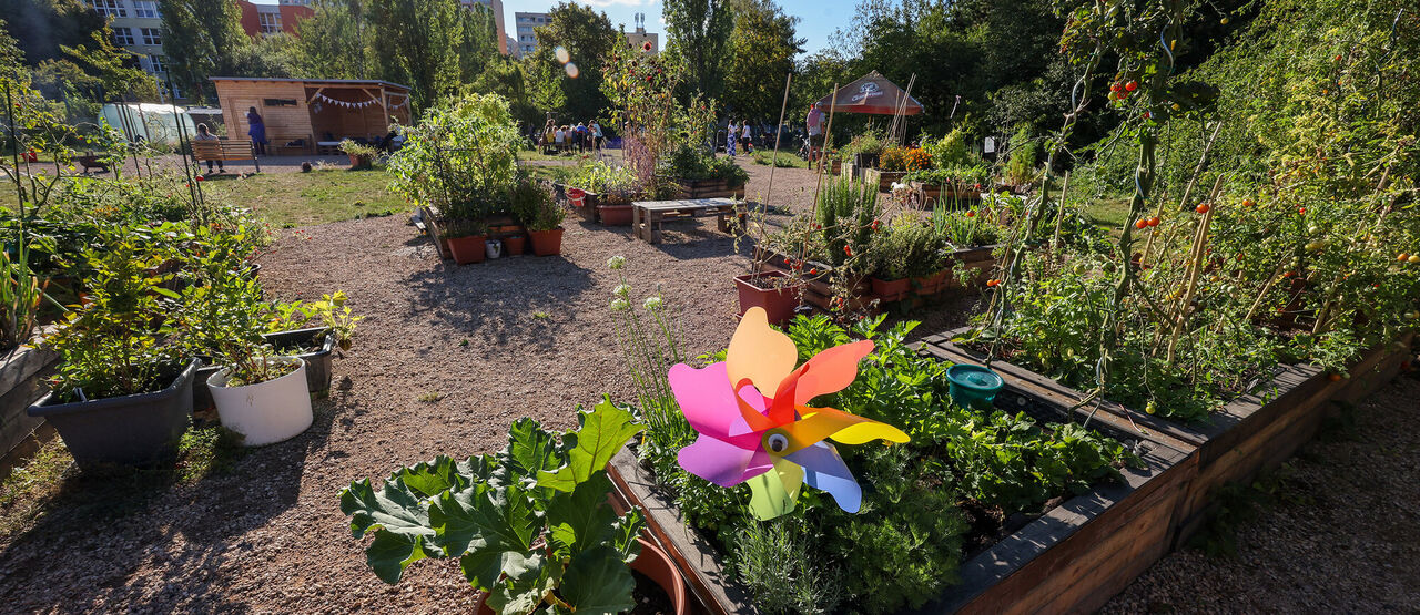 Z pustého koutu sídliště vznikl zelený ráj