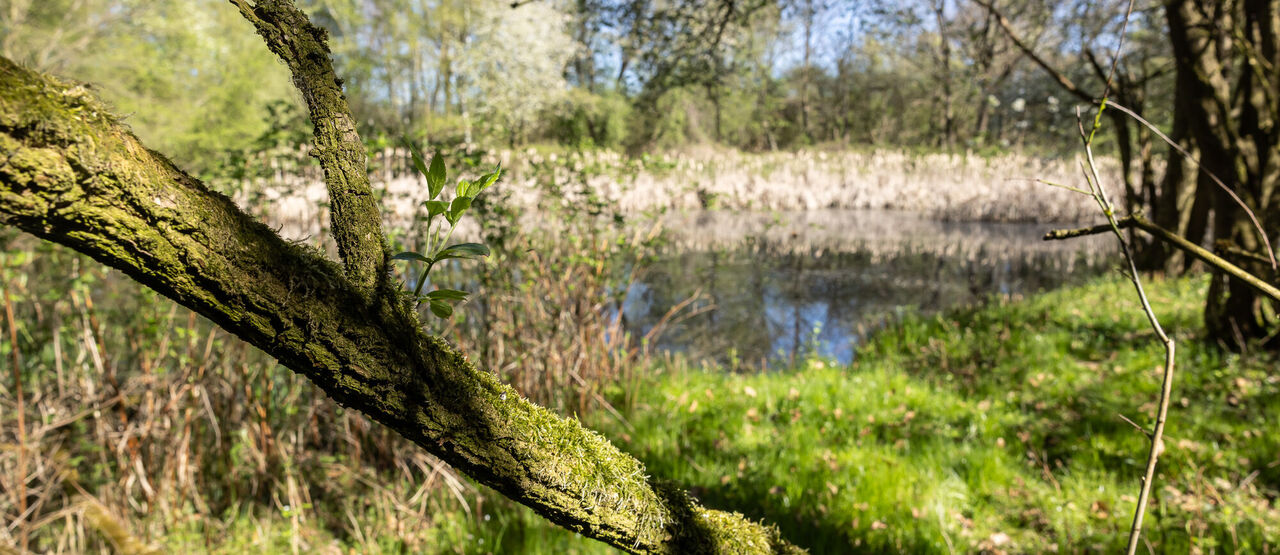 Lutyňská pískovna v článku Magazínu Patriot
