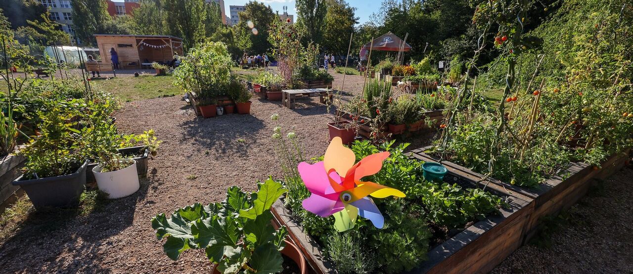 Výroční zpráva 2024