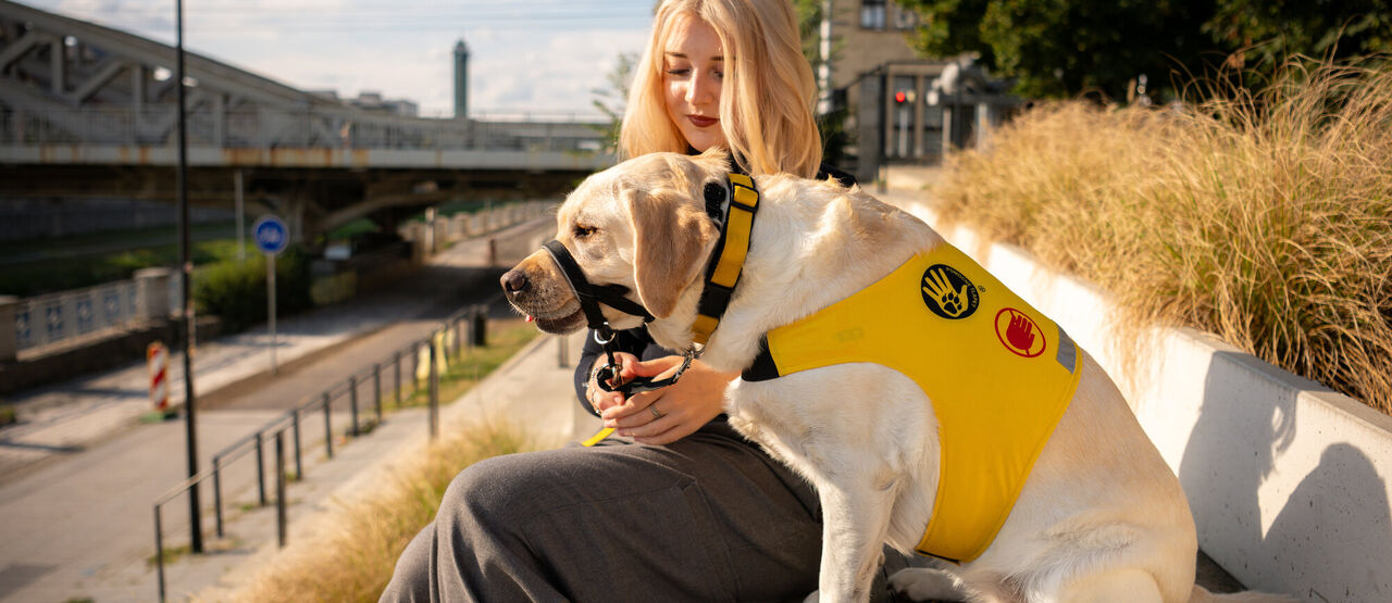 Od štěněte k hrdinovi