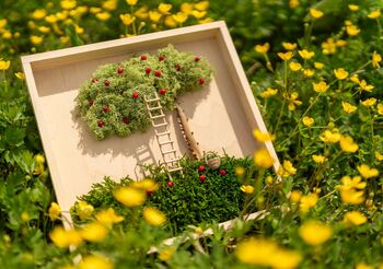 STARTér otevírá cestu další vlně podnikatelských snů