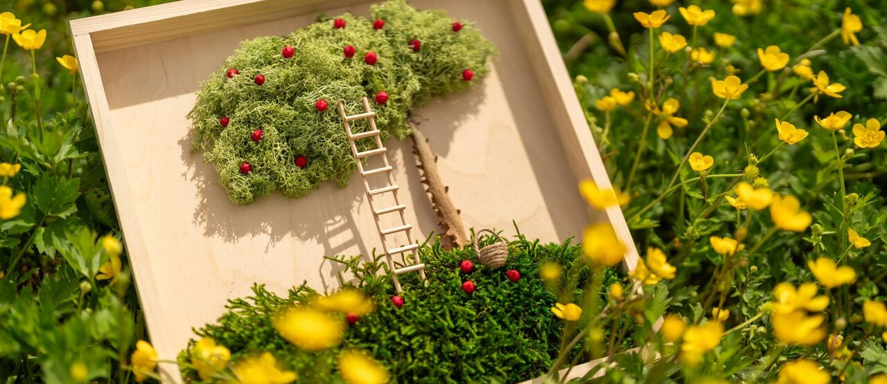 STARTér otevírá cestu další vlně podnikatelských snů