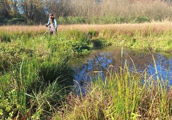 Světový den mokřadů: Český svaz ochránců přírody pečuje o desítky hektarů mokřadů po celé ČR