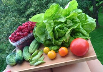 STARTér: rozvoj řemesel, tradičních farem i sociálních podniků