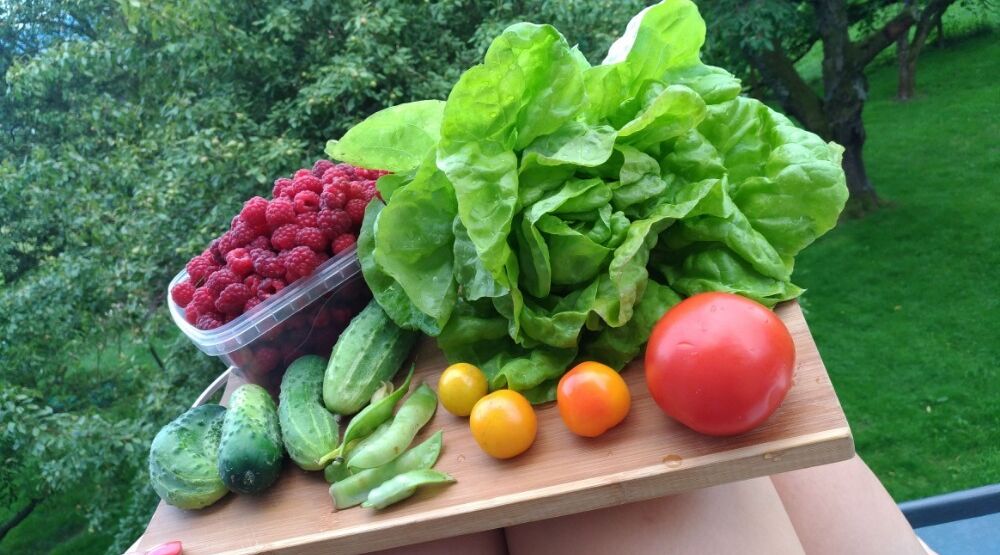 STARTér: rozvoj řemesel, tradičních farem i sociálních podniků