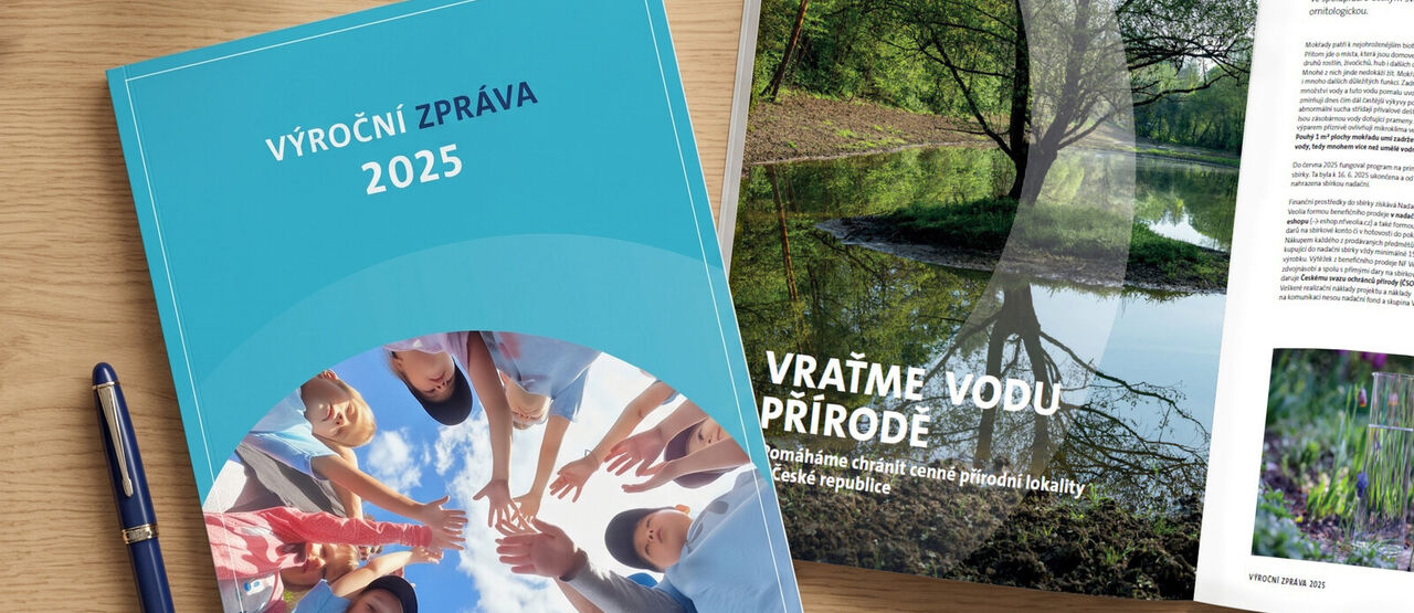 Výroční zpráva 2025
